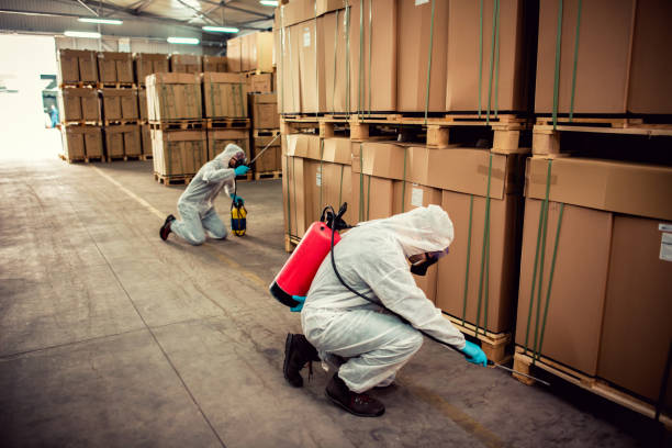 Best Best Pest Control Companies  in Centerville, TN