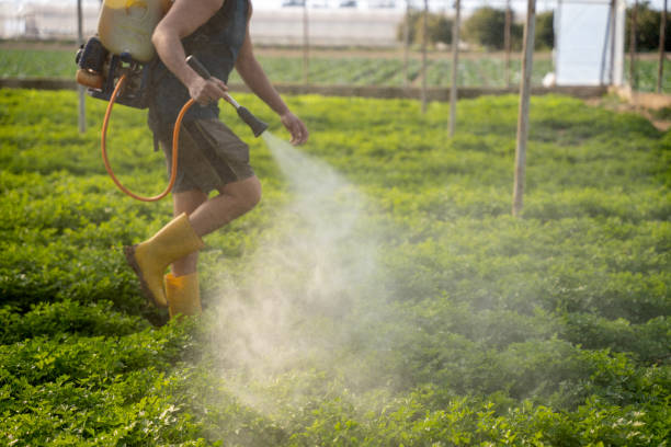 Best Pest Prevention Services  in Centerville, TN