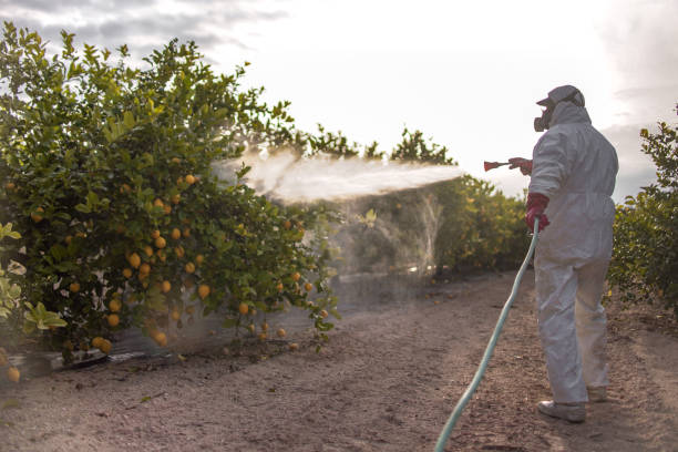 Best Exterminator Services  in Centerville, TN